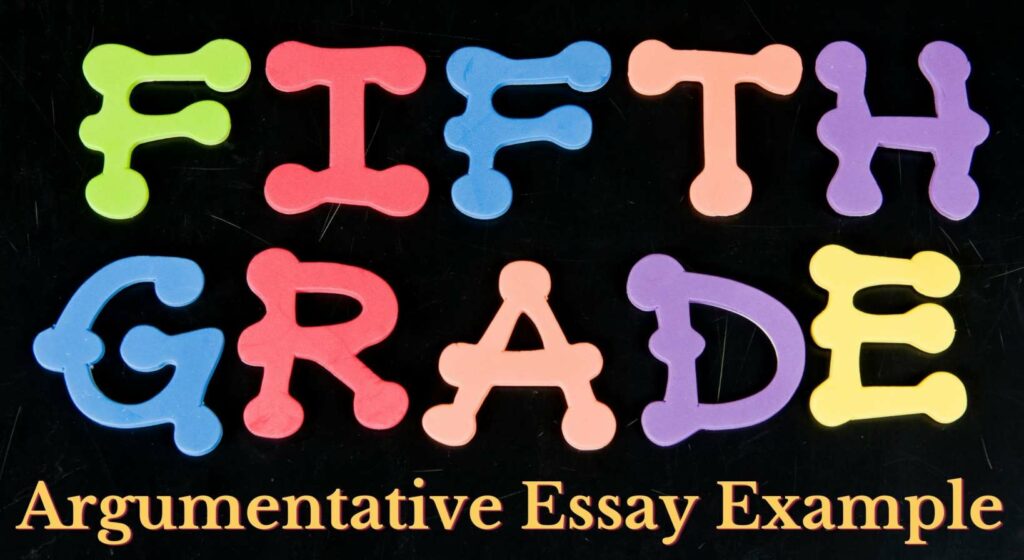 argumentative essay sample high school
