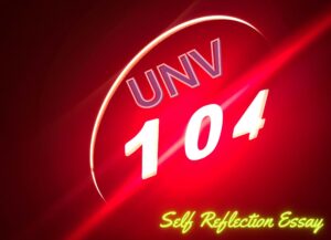 UNV 104 Self-Reflection Essay Example